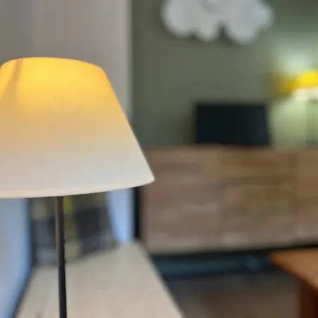 Cosy Duplex Pour 5p Avec Parking * Cauterets