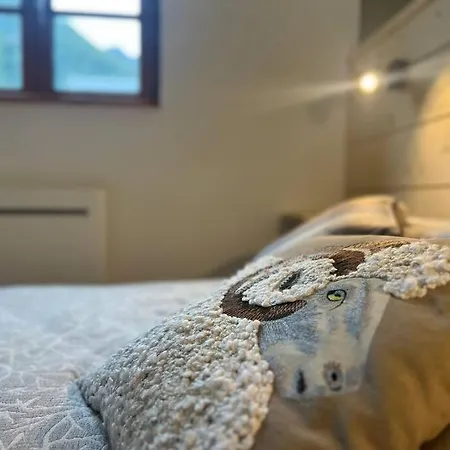 Cosy Duplex Pour 5p Avec Parking Apartment *